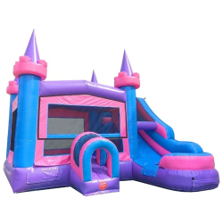 Pink princess castle